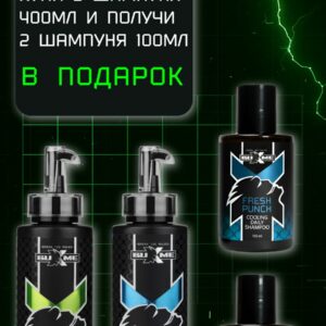 Специальная акция: покупая шампунь Reboot и Fresh Panch 400 мл – получаете 100 мл в подарок!